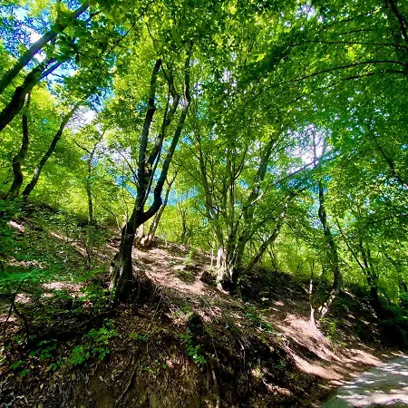 Gesztenyes Haz דירה *